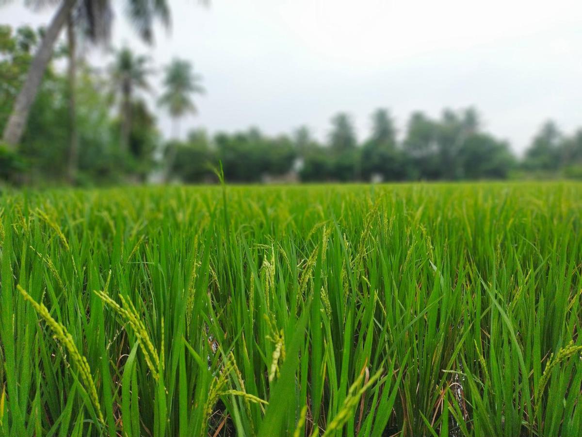 The Farm Crest, Ecr Kadallur Kuvattur Exterior photo
